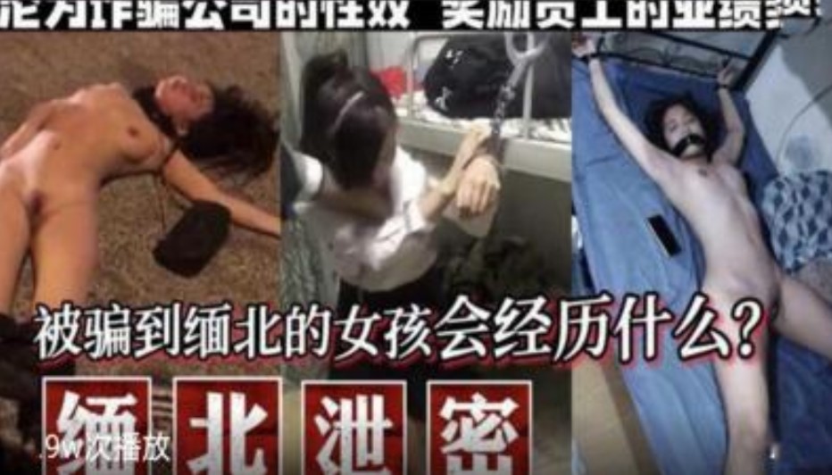 被骗到缅北的女孩会经历什么